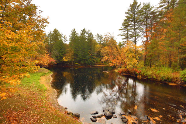 Sugar River in Newport, New Hampshire, on a rainy day with fall foliage and colorful reflections in the still waters.