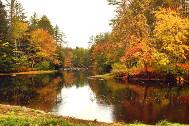 istock Sugar River reflecting fall foliage in Newport, New Hampshire. 1292524612