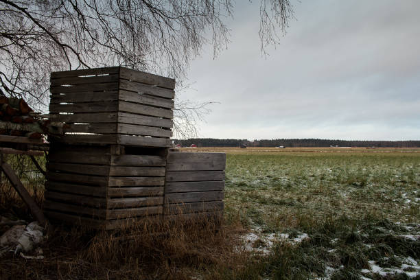 casse di legno sui campi gelida - winter finland agriculture barn foto e immagini stock