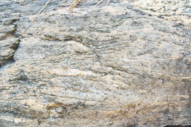 istock the texture of the stone. grey stone wall. gray background. 1292525663