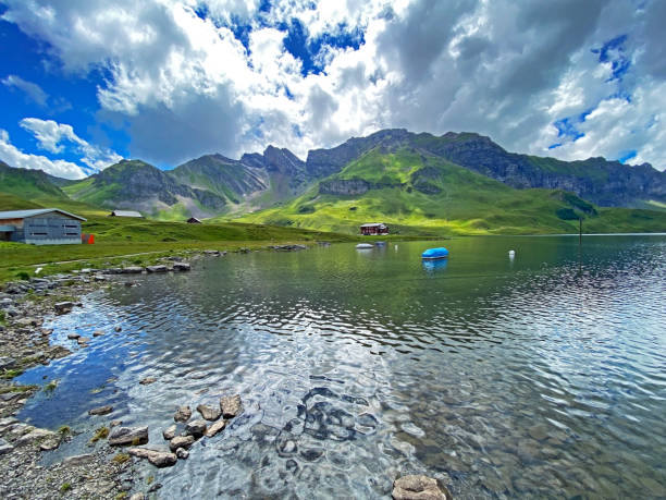 The alpine lake Melchsee or Melch Lake in the Uri Alps mountain massif, Kerns - Canton of Obwalden, Switzerland (Kanton Obwalden, Schweiz) The alpine lake Melchsee or Melch Lake in the Uri Alps mountain massif, Kerns - Canton of Obwalden, Switzerland (Kanton Obwalden, Schweiz) summer flower lake awe stock pictures, royalty-free photos & images