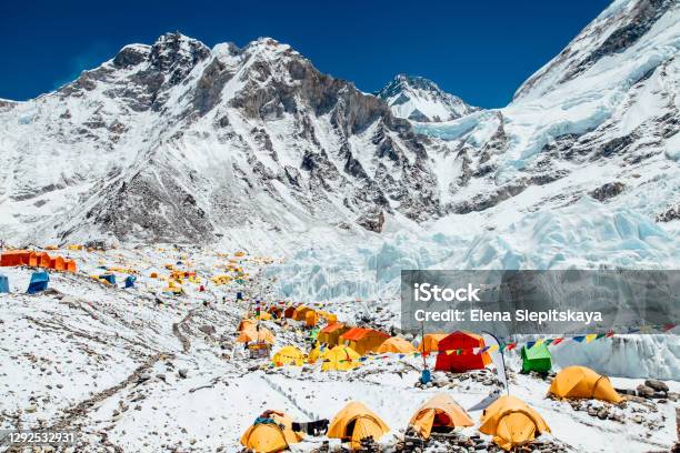 Bright Yellow Tents In Mount Everest Base Camp Khumbu Glacier And Mountains Nepal Himalayas Stock Photo - Download Image Now