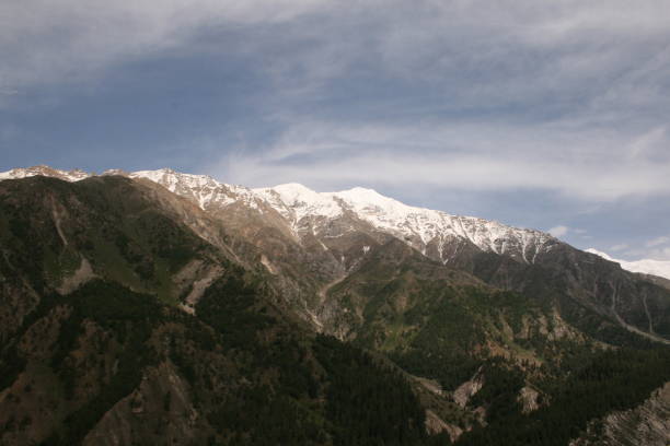 landscape of fairy meadows