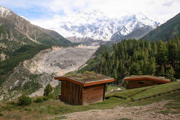 landscape of fairy meadows