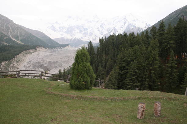 istock landscape of fairy meadows 1292534789