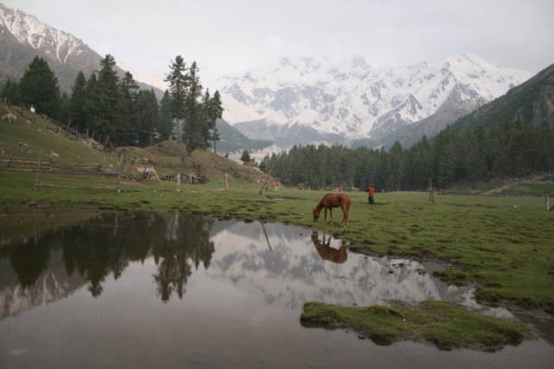 istock landscape of fairy meadows 1292535041