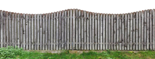istock Long old solid aged wooden rural fence from vertical planks. Isolated 1292538502