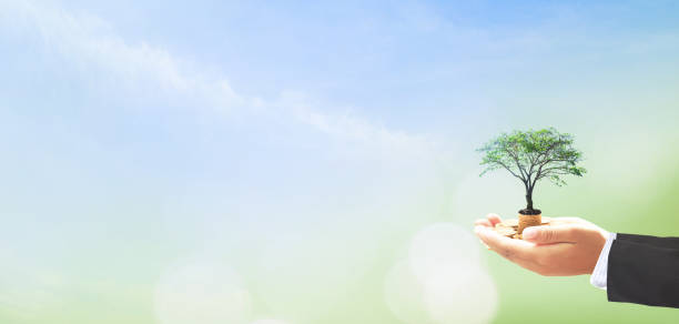 istock Businessman hands holding stack of golden coins and big tree 1292539056