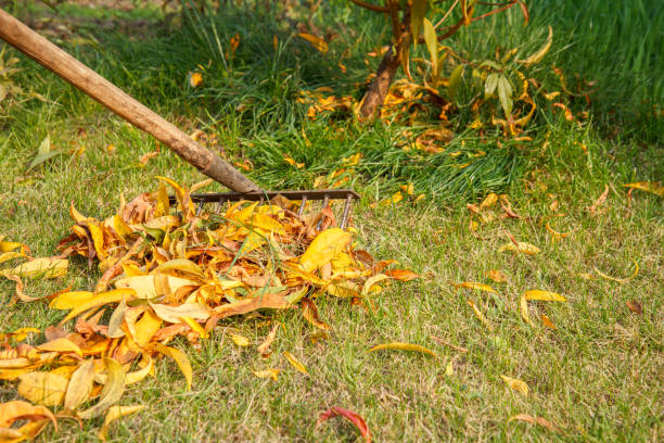 istock Gardener cleans a garden with a rake in autumn. 1292539997