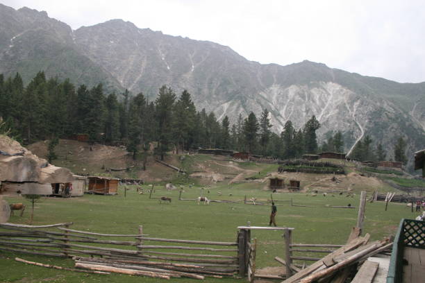 istock landscape of fairy meadows 1292541772
