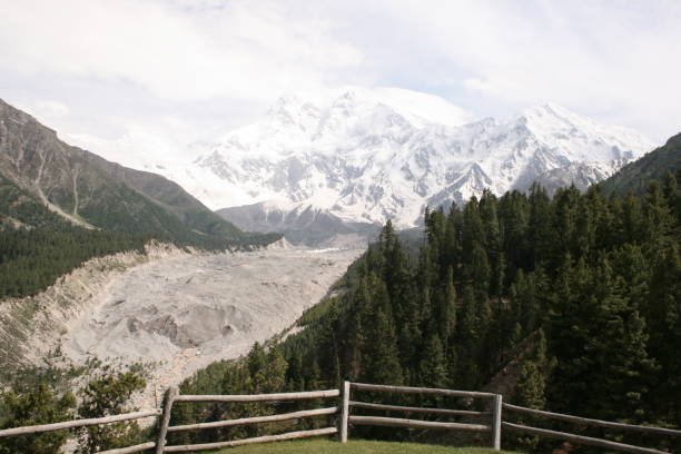 landscape of fairy meadows