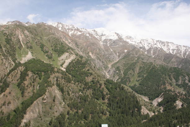 landscape of fairy meadows