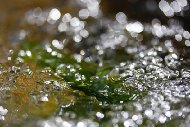 istock Bubbles in the water. Water background. 1292542940