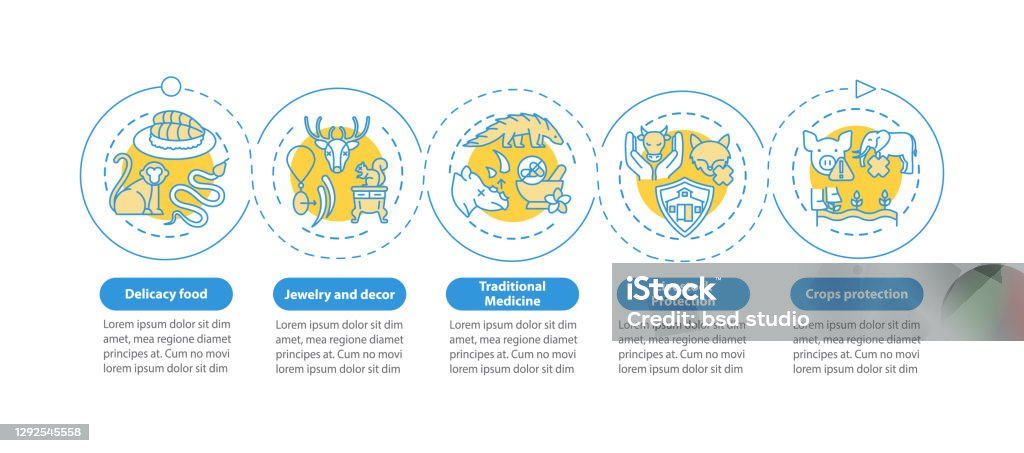 Exotic Animal Cruelty Vector Infographic Template Stock Illustration - Download Image Now - Brochure, Single Line, Abuse - iStock Exotic Animal Cruelty Vector Infographic Template Stock Illustration - Download Image Now - Brochure, Single Line, Abuse - iStock