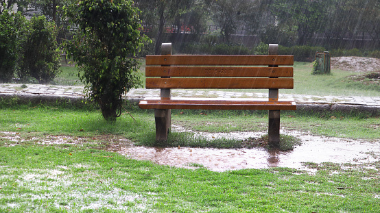 Empty park bench in Public Park during the rainy season.