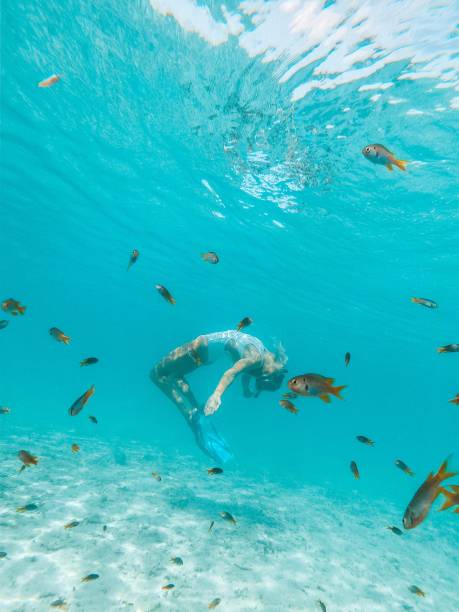 istock Girl swimming with fish underwater shot 1292546467