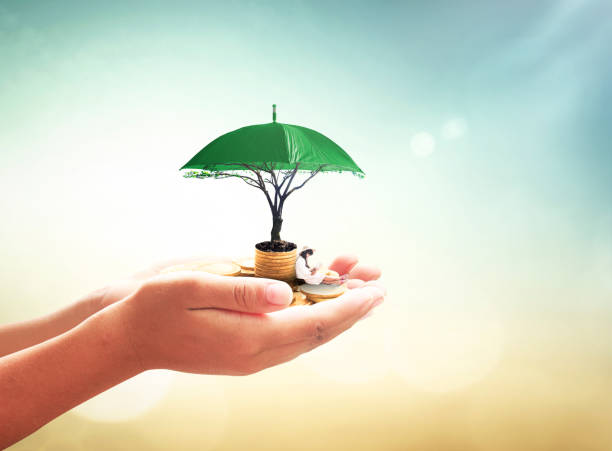 concept d’argent de sécurité - umbrella protection savings currency photos et images de collection