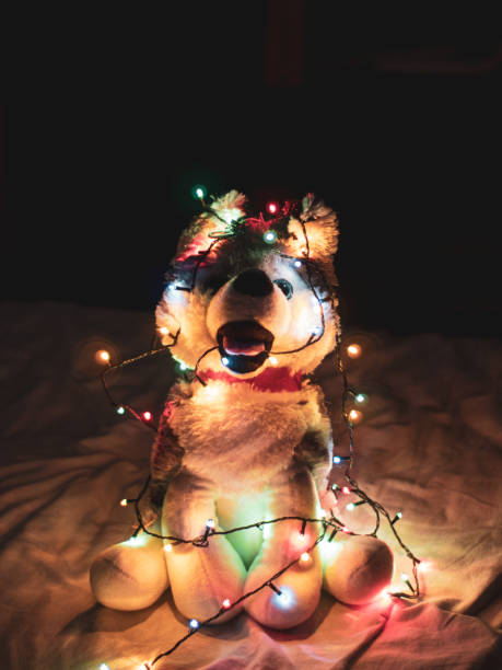 istock Husky puppy with lights on it for christmass 1292549146