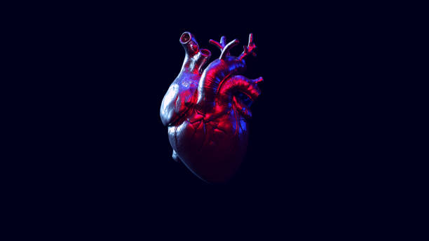 istock Silver Anatomical Heart with Blue Red Moody 80s Lighting 1292552056