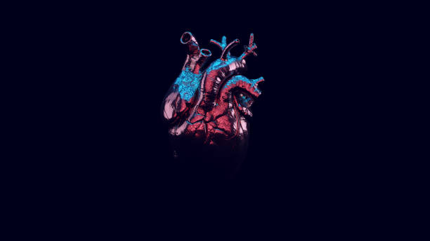 istock Silver Anatomical Heart with Blue Pink Moody 80s Lighting 1292552113