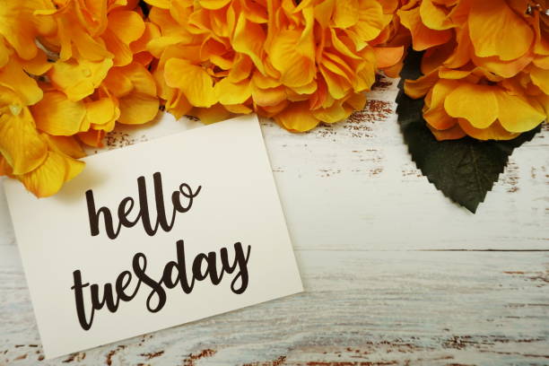 istock Hello Tuesday Card with Blooming flower on wooden background 1292552221