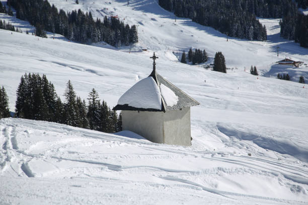 istock winter in the French Alps 1292552333