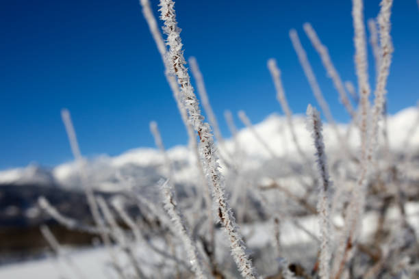 winter landscape in the French Alps