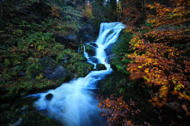 Water flowing over Steelhead Falls near Mission BC.