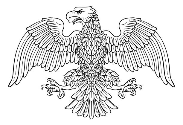 Eagle Imperial Heraldic Symbol Eagle possibly German, Roman, Russian, American or Byzantine imperial heraldic symbol animals crest stock illustrations