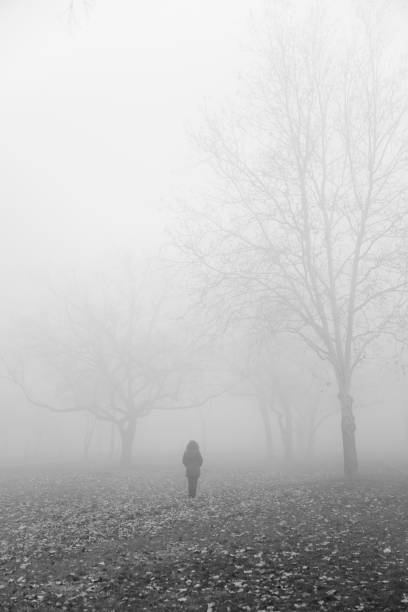 istock Tree in the foggy winter day 1292559661