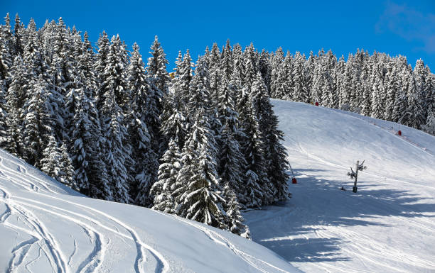 istock winter in the French Alps 1292559843