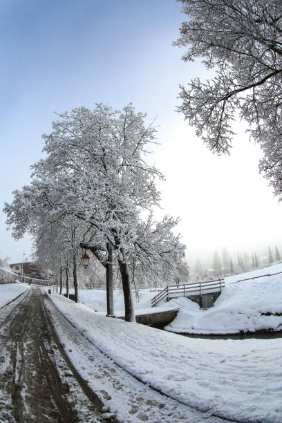 istock winter in the French Alps 1292560737