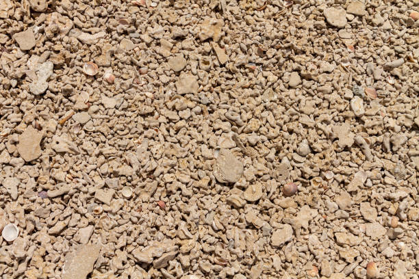istock Background texture.Nice background image of pebbles on the beach 1292560796