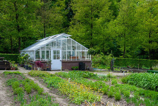 Green beds of vegetables and herbs in front of an old fashioned greenhouse.