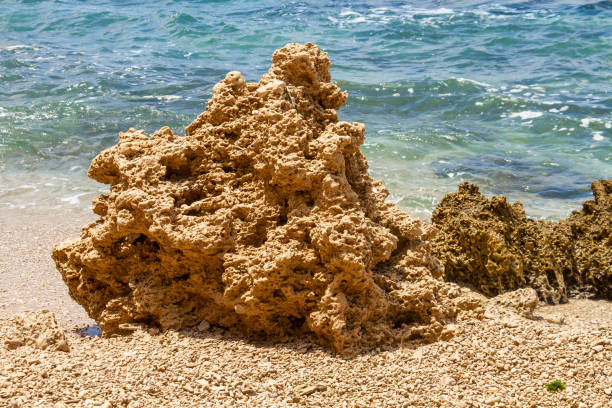 Nice view of stone cliffs on Givat Olga beach in Hadera. Israel.