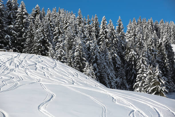 istock winter in the French Alps 1292560980