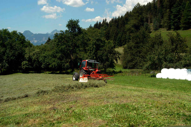 istock Hay turning machine in agriculture 1292561029