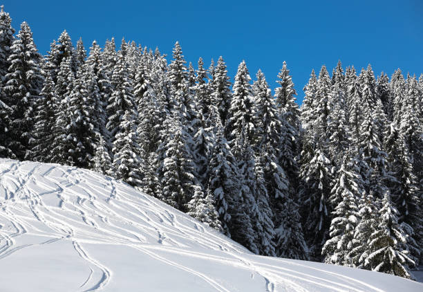istock winter in the French Alps 1292562026