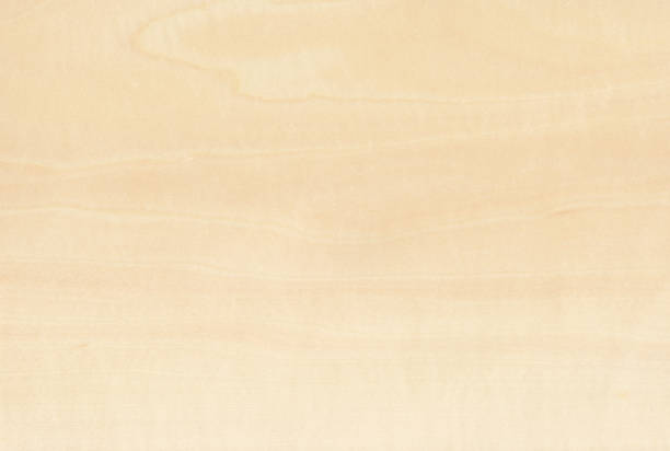 istock Lovely white birch wood veneer 1292562306
