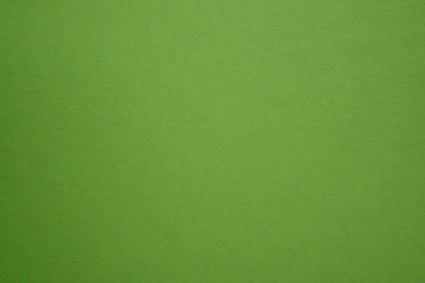istock Green color wall texture background. Forest color texture backdrop design. Olive, moss, mint, fern or tea backdrop 1292562474