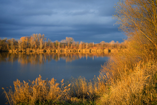 Orange foliage reflected in a quiet lake in Burgenland