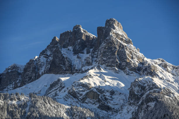 istock winter in the French Alps 1292563611