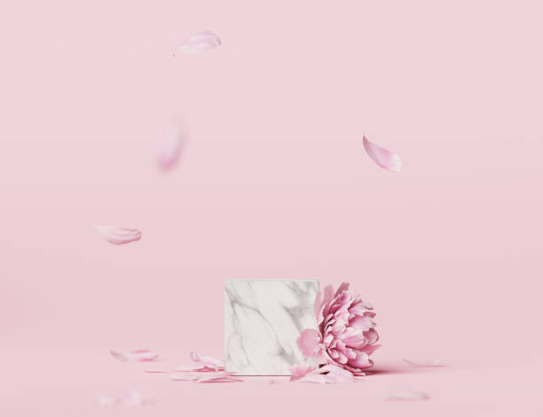 3d-display podium pastell rosa blume hintergrund. pfingstrose blüte. natur minimaler marmor, steinsockel mit fallenden blütenblättern. schönheit, kosmetische produktpräsentation. valentine, vorlage 3d render - pink spring nature concepts stock-fotos und bilder