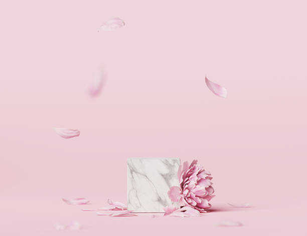 3D display podium pastel pink flower  background. Peony blossom. Nature minimal marble, stone pedestal with falling petals. Beauty, cosmetic product presentation. Valentine, template 3d render Social media or online shop banner for product presentation advertisement rose flower stock pictures, royalty-free photos & images
