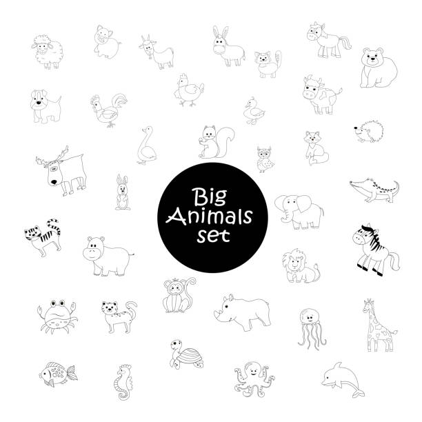 ilustrações de stock, clip art, desenhos animados e ícones de big set - elephant water vector animals in the wild