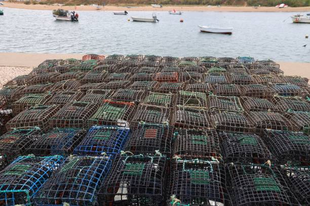 istock Crab traps in Portugal 1292566703