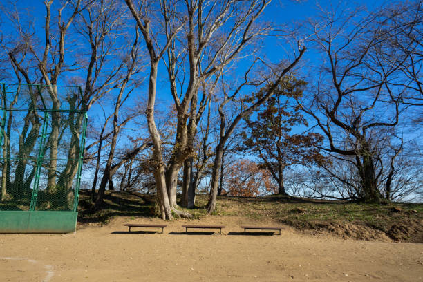 istock Baseball field in a suburban park 1292568504