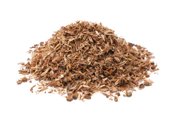 istock Healthy oak bark pile on white. Alternative medicine. 1292569090