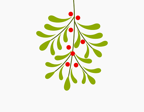 Mistletoe plant hanging. Christmas vector illustration.