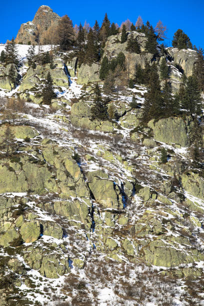 istock winter in the French Alps 1292570839